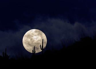 Naklejka na ściany i meble A full moon rises over the Arizona desert