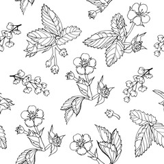 Vector seamless floral doodle pattern, black and white sketch outline flowers and leaves of wild strawberry, barberry inflorescence on a white background freehand for textile, wrapping paper wallpaper