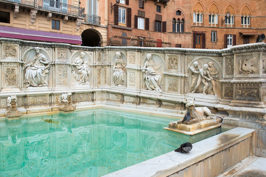 Fonte Bilder Durchsuchen 11,433 Archivfotos, und