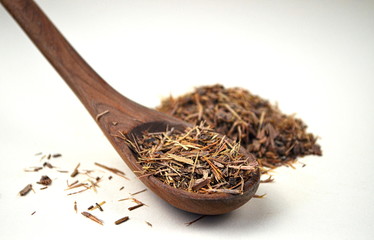 Catuaba bark and wooden spoon with catuaba on white background