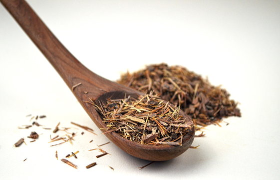 Catuaba bark and wooden spoon with catuaba on white background