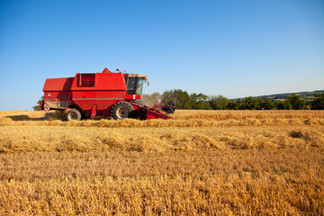 Fototapeta premium Moissonneuse au travail dans un champ de blé en été.