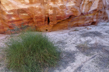 Trek dans la Vallée Arc-en-Ciel - Jordanie