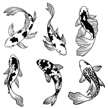 Premium Vector  The illustration of the big koi fish with the beautiful  tail and body full of zentangle doddle art