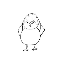 Vector hand drawn doodle sketch black chick isolated on white background