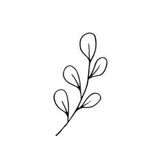Branch with leaves and buds isolated on a white background. Vector doodle illustration. Sketch.  Line style