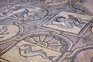 Randonnée dans le site unique et merveilleux de PETRA en Jordanie (le Khazneh, le théatre, El-Deir, le Grand Temple, ...)