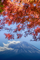 紅葉と富士山