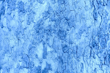 Blue Beautiful Abstract Grunge Concrete Wall Texture Background.