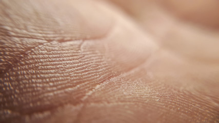 Closeup hand. Macro shin hand texture for background dermatology.