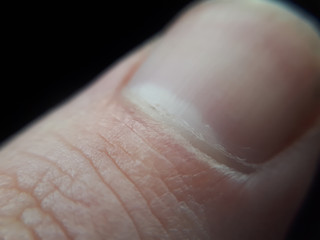 Human finger thumb nail. Healthy man nail macro concept.