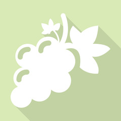 flat icons for Grape,fruit,vector illustrations