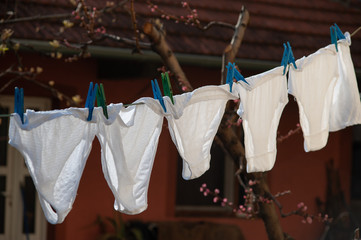 Underpants. Identical white underpants hung on the garden after the laundry. Same underwear dry...