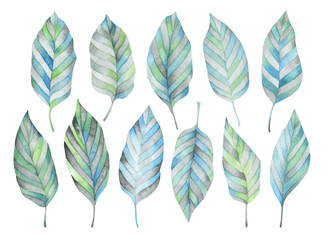 Set of multi-colored striped leaves. Watercolor illustration. Isolated objects on a white background.