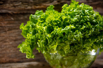 Lettuce (Lactuca sativa) in glass bowl and woody background