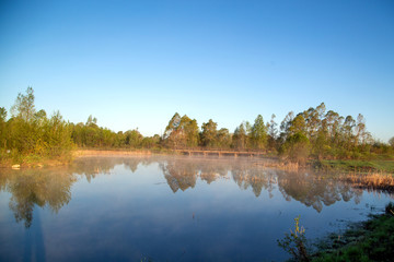 Morning summer landscape: bridge over the lake and fog