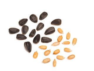 Black sunflower fried seeds peeled and unpeeled, close-up