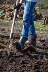 A man in boots on a farm with a shovel digs a bed