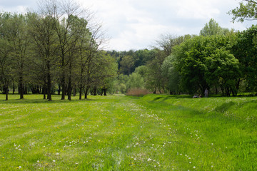 Park landscape