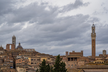 Fototapeta na wymiar A view of Siena Italy