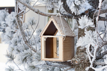 Naklejka premium Bird feedbox hanging on the tree in the snow and frost