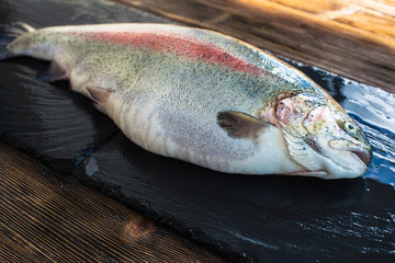 Raw big salmon on the black board