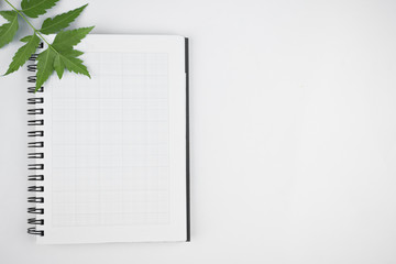 Top view of come green leaves on top of a open white paper diary before a white background