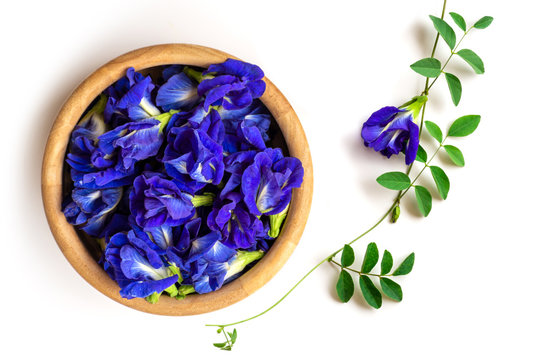  butterfly pea flower or blue pea, bluebellvine , cordofan pea, clitoria ternatea with green leaf in wooden bowl isolated on white background. Top view. 