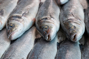 Fresh sea bass, Dicentrarchus labrax, on display on a UK fishmongers market stall 