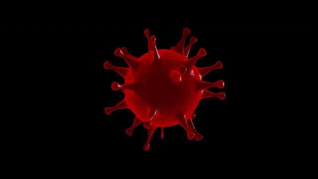 Red virus isolated on alpha channel, seamless looping, 4K. Coronavirus concept