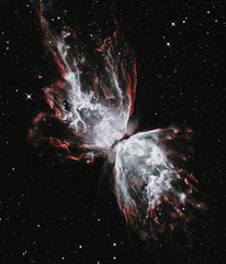 The Butterfly Nebula. Elements of this image furnished by NASA. Retouched image.