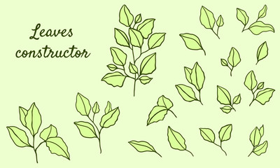 Individual leaves from which you can collect branches, trees as a constructor. Graphic elements of nature and flora for ornaments, patterns, frames and other design