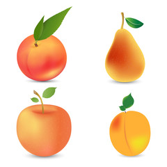 Fresh citrus fruits whole and halves 4 realistic icons square with orange grapefruit lemon isolated vector illustration