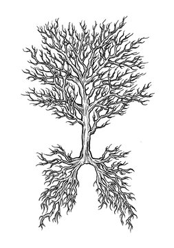 Graphic tree with branches vector drawing