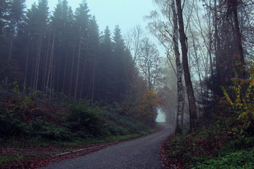 Naklejka premium Austria