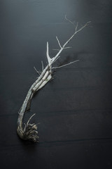 Broken wood in a flowing river.