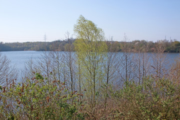 Naturschutzgebiet Stöckheimer See