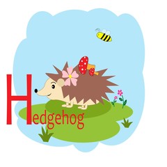 H word for hedgehog animal alphabet illustration 