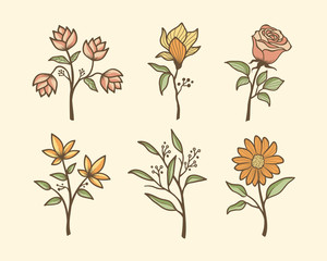 set of beautiful flower designs vector