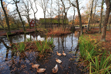 Fall in Stockholm, Sweden