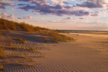 Far Rockaway beach, sanddunes on beach, empty beach during sundown, beautiful beach in nature