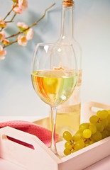 Glass and bottle with white grape wine with grapes under a blooming branch. Romantic spring dinner...