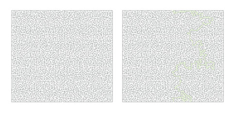 Huge 80x80 rectangular maze with solution
