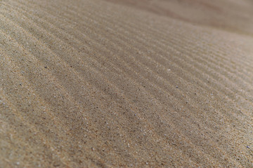 Beautiful sand structure in the Sahara desert, sand dunes, macro