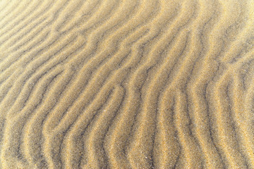 Beautiful sand structure in the Sahara desert, sand dunes, macro