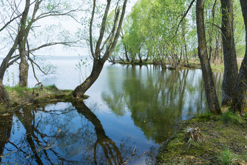 Fototapeta na wymiar Shore of lake Pleshcheyevo in Pereslavl Zalessky