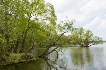 Shore of lake Pleshcheyevo in Pereslavl Zalessky