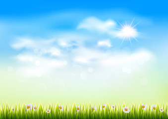 Fototapeta na wymiar Blue sky with clouds, green grass and chamomile, vector background.