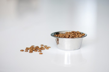 Dry cat food in a silver round dish on a white floore in the kitchen . copy space