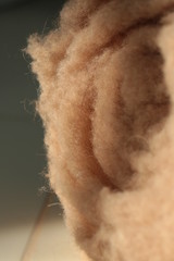Fototapeta premium cashmere